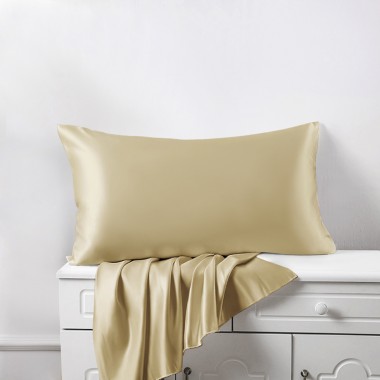 Online Champagne 22 Momme Mulberry Zipper Silk Pillowcase UK