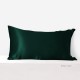 Online Dark Green 22 Momme Mulberry Zipper Silk Pillowcase UK