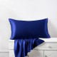 Online Royal Blue 22 Momme Mulberry Zipper Silk Pillowcase UK